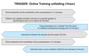 TRIGGER: Online Training unfolding