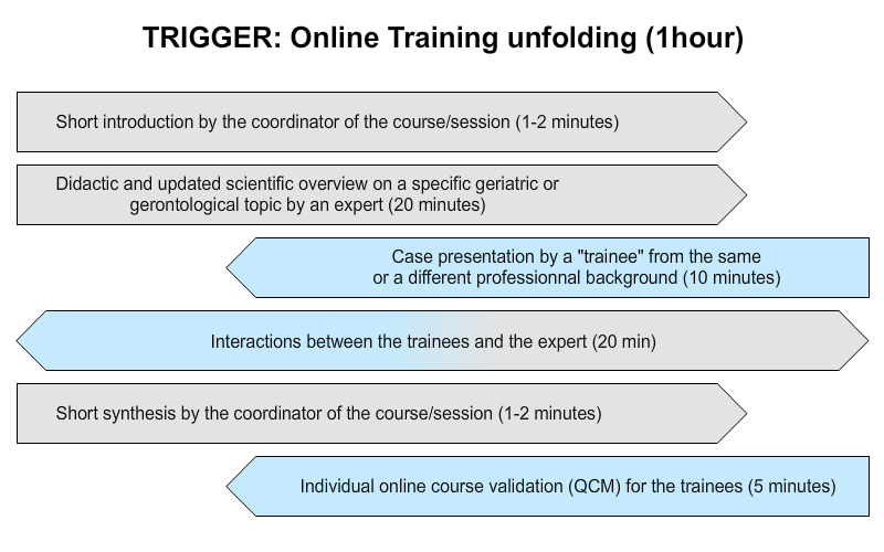 TRIGGER: Online Training unfolding